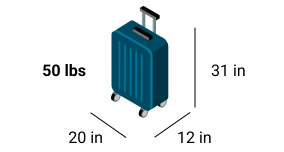 Checked Bag